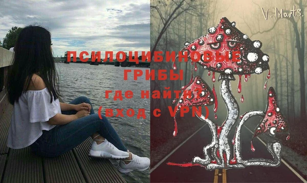 apvp Алексин