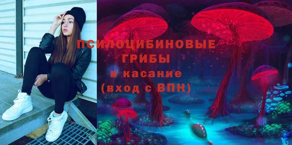apvp Алексин