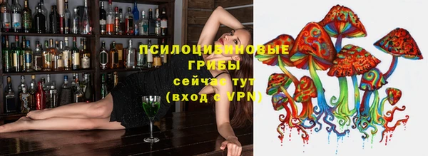 дживик Алексеевка