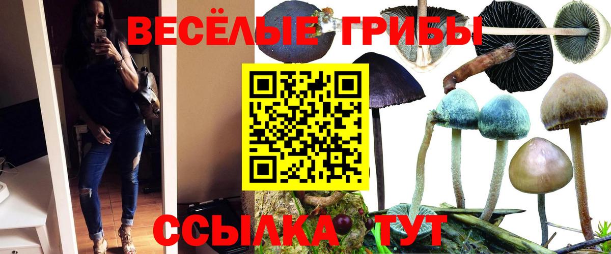 Алексеевка  Галлюциногенные грибы Psilocybe  Вход с VPN 