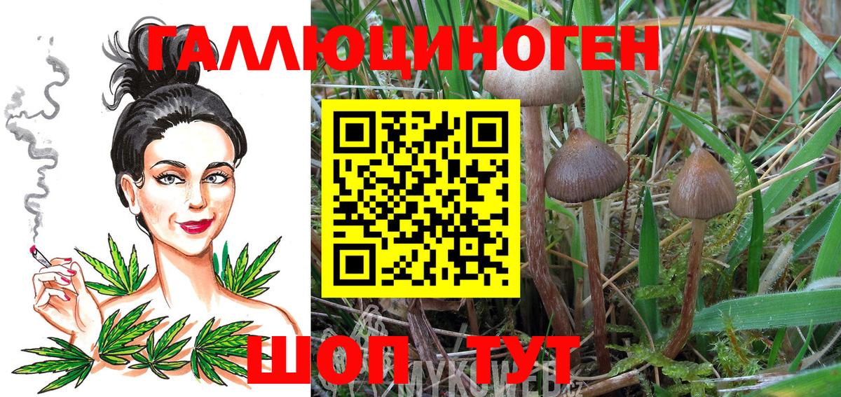 Псилоцибиновые грибы MAGIC MUSHROOMS Алексеевка
